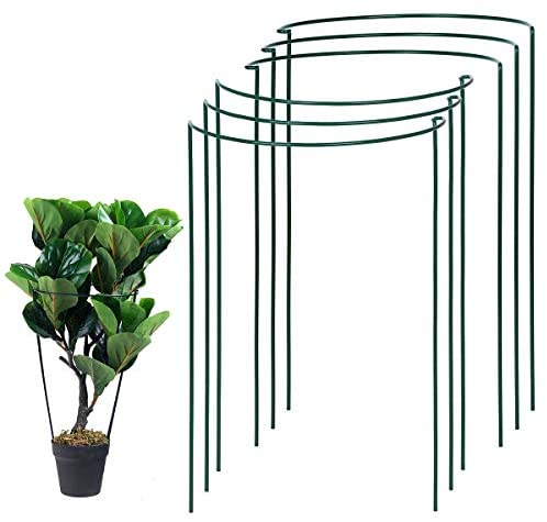 UltraOutlet 6 Pack 15.8 Inch Plant Stakes and Supports for Gardening, Metal Plant Support Ring, Plant Cage, Plant Support for Tomato, Peony, Vine : Garden & Outdoor