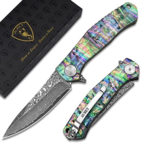 FLISSA Mini Folding Pocket Knife, 2.5-inch Stainless Steel Drop Point  Blade, EDC Pocket Knives for Men with Bottle Opener and Glass Breaker  (Stonewash), Black 