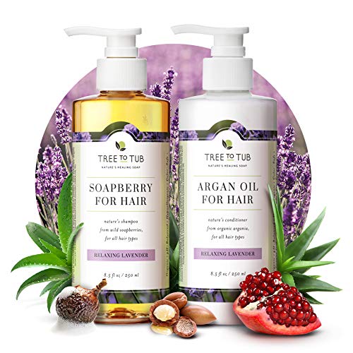 Gentle Argan Oil Shampoo & Conditioner by Tree to Tub—pH 5.5 Balanced Moisturizing Duo with Wild Soapberry & Organic Moroccan Oil - Nourishes Dry Hair & Very Sensitive Scalp, Sulfate Free (2 Pack) : Beauty