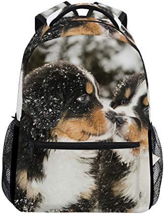 Dog school outlet backpack