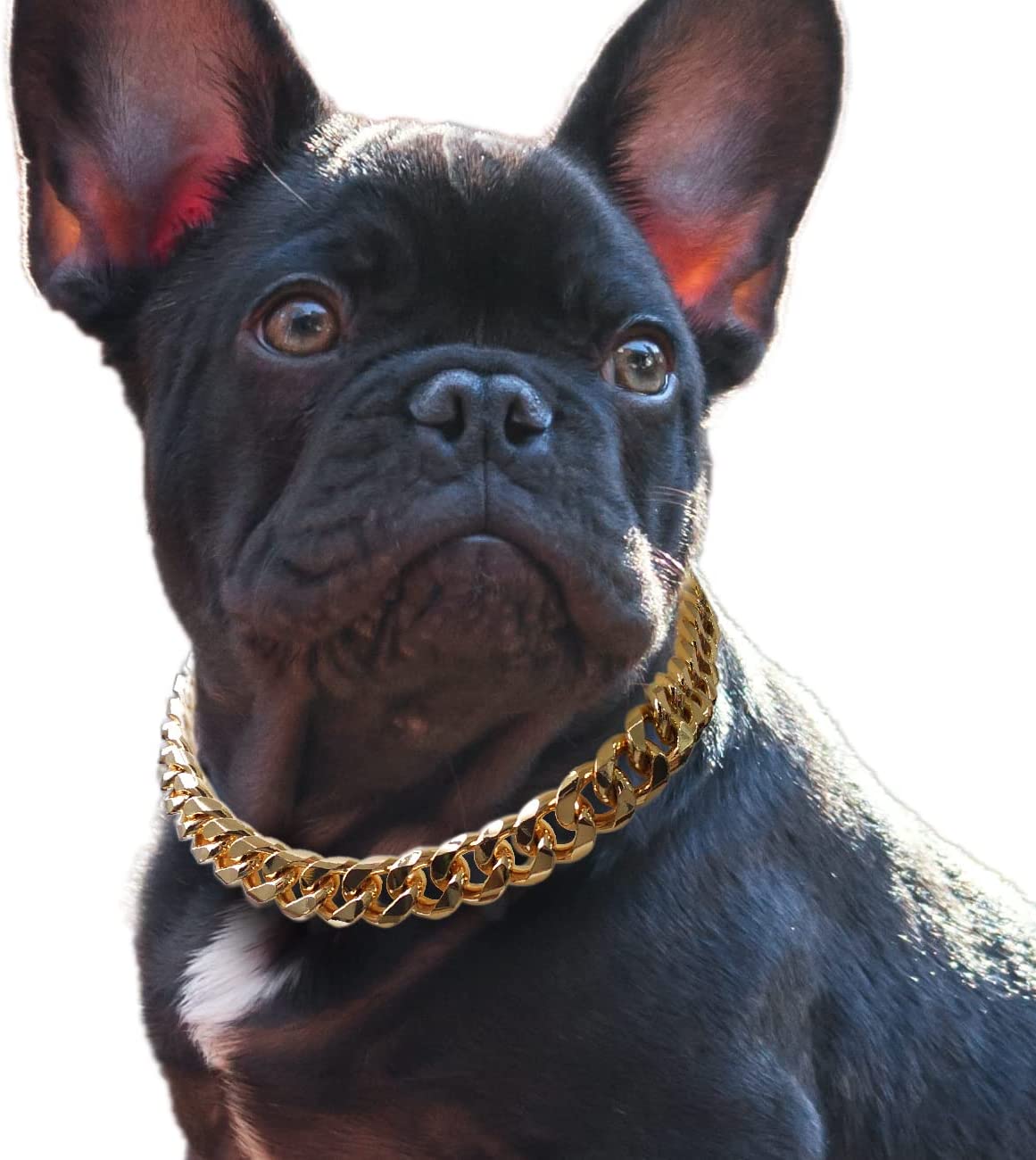 W/W Lifetime Gold Pet Dogs Collar Slip Metal Chain American Pitbull French Bulldog Large, Size: 20 inch Collar Fits for 16 Dog Neck