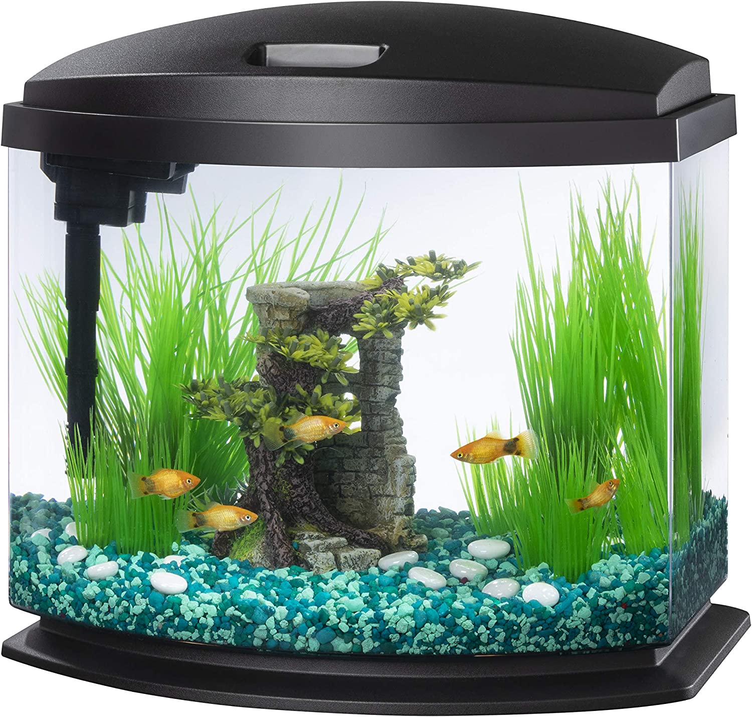  Tetra Glass Aquarium 29 Gallons, Rectangular Fish