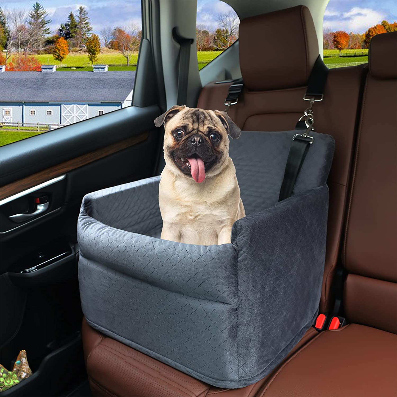 Pet Safety Booster Seat, Central Car Seat for Cats and Small Dogs, Puppy  Car Seat Pet Basket, Car Console Armrests Dog Travel Bed Bag for Pets up to