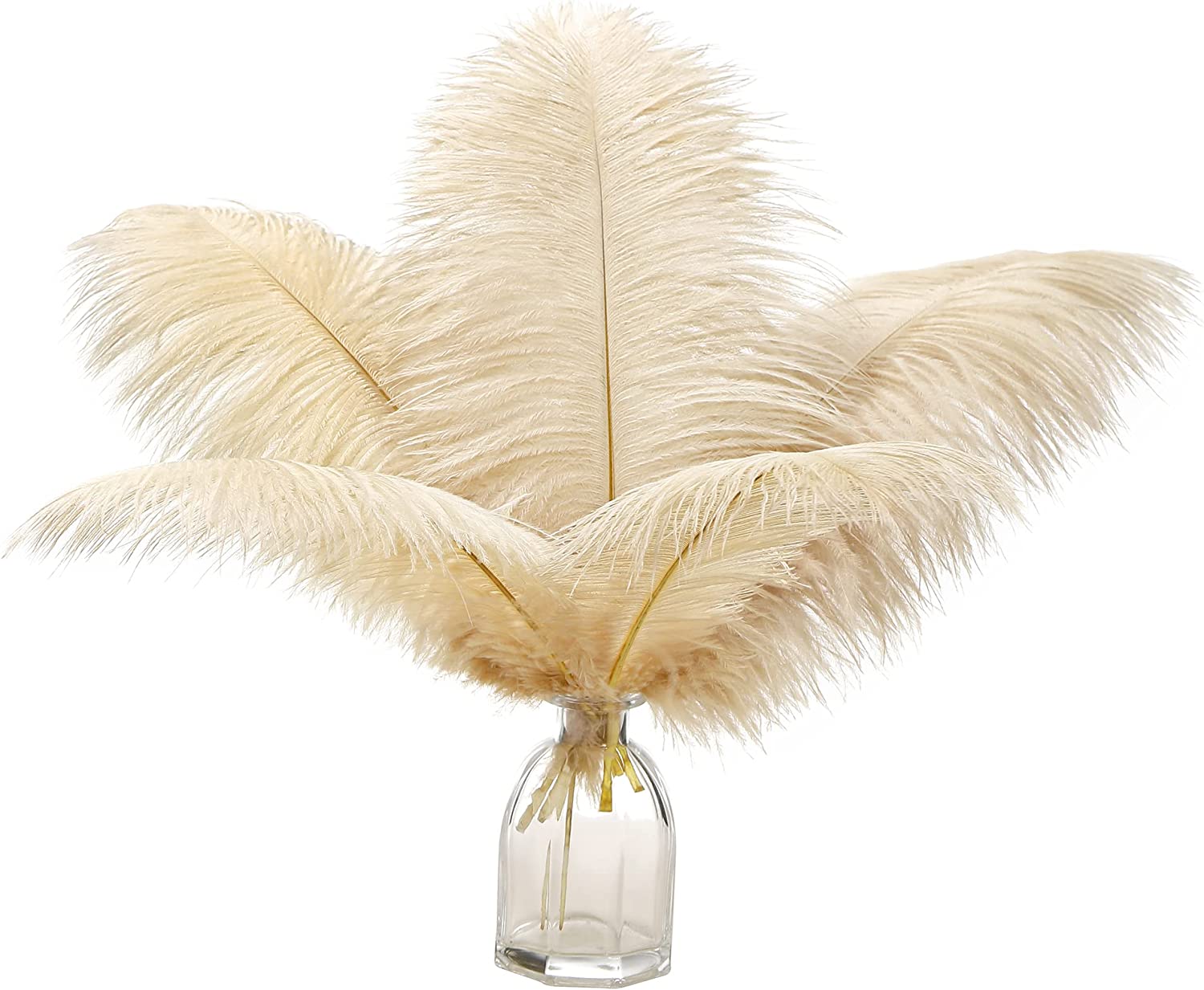  EVNNO 10 Pcs Natural White Ostrich Feathers Making Kit
