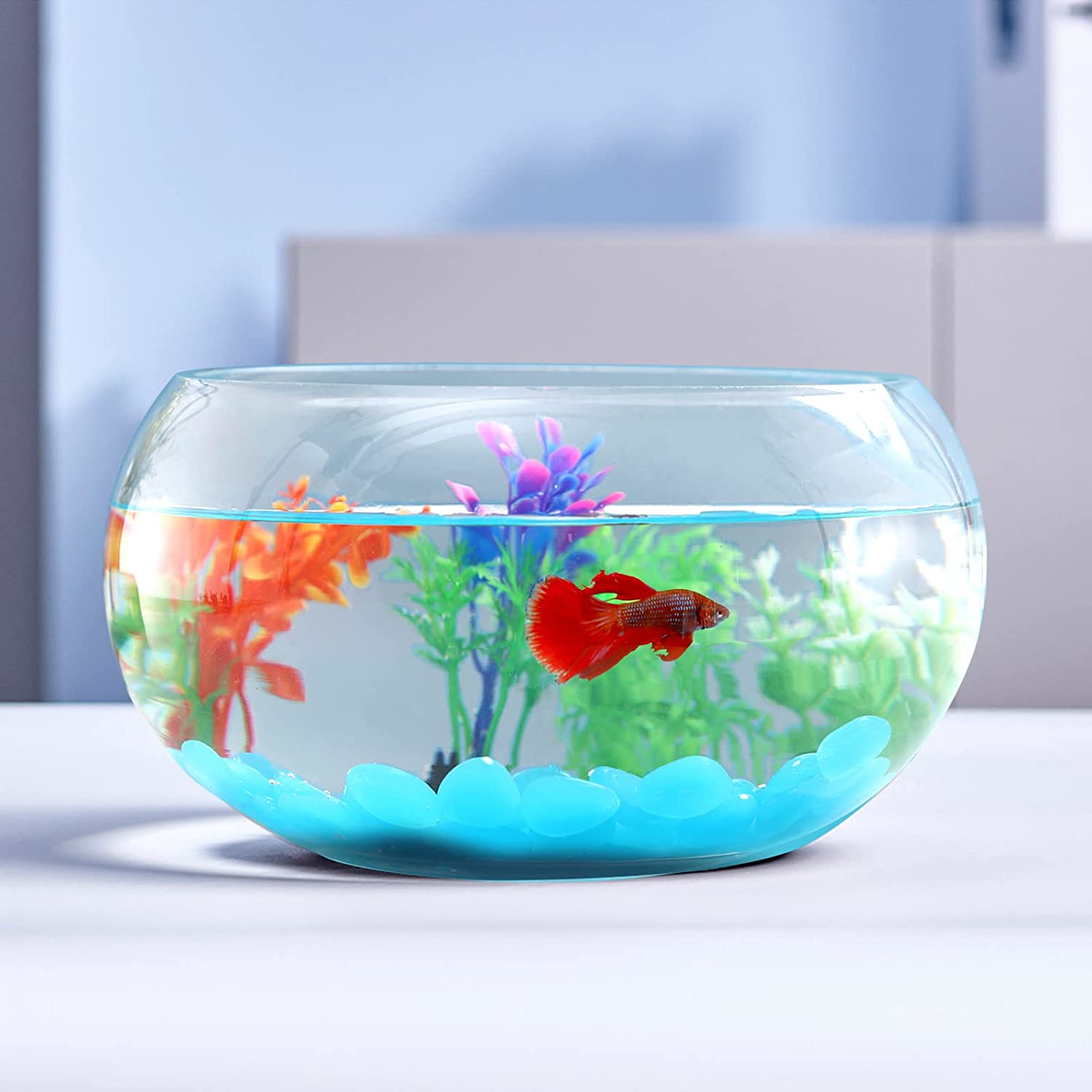 Small Round Plastic Fish Bowls for Parties (12 Pack) 16 oz Clear Mini Drink  Bowl, Shatterproof Fishbowl Glasses for Drinks, Centerpieces, Decorations,  Goldfish Pond Carnival Game, Centerpiece Vases