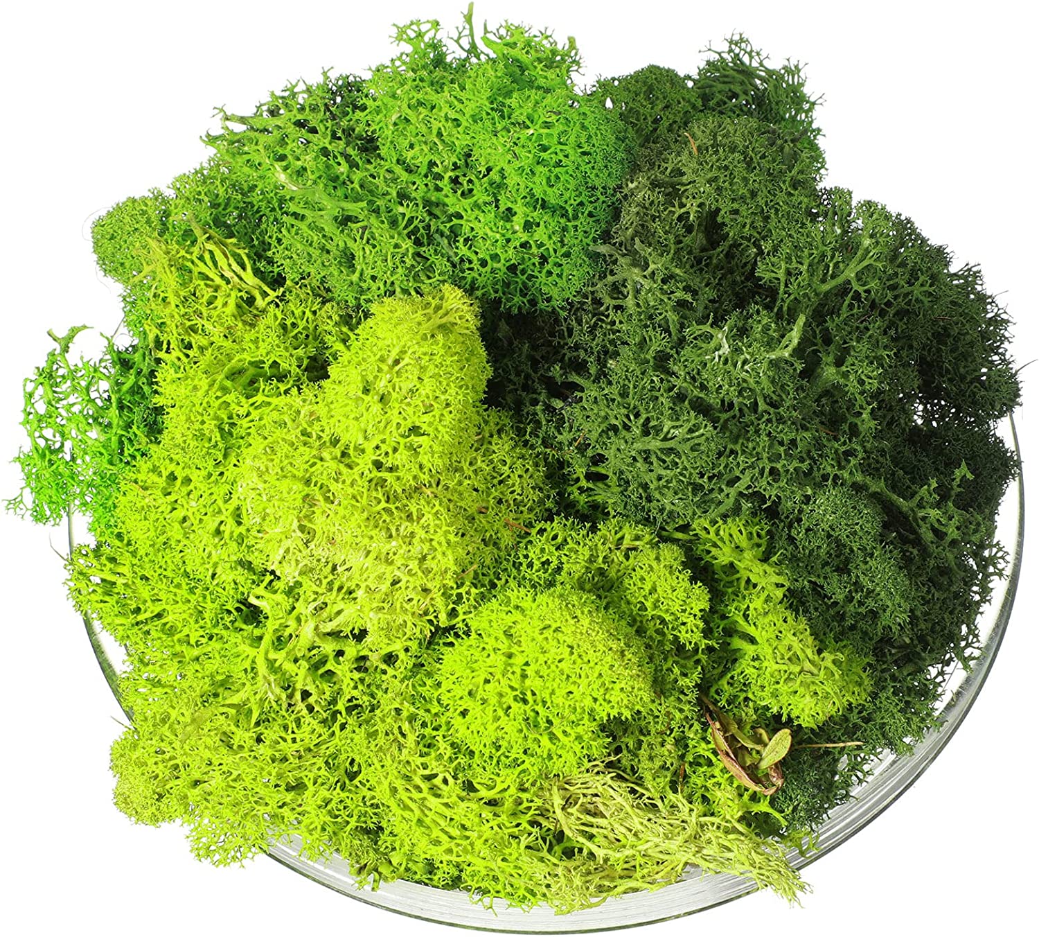 Usmola Fake Moss, Artificial Green Moss for Potted Plants Fairy