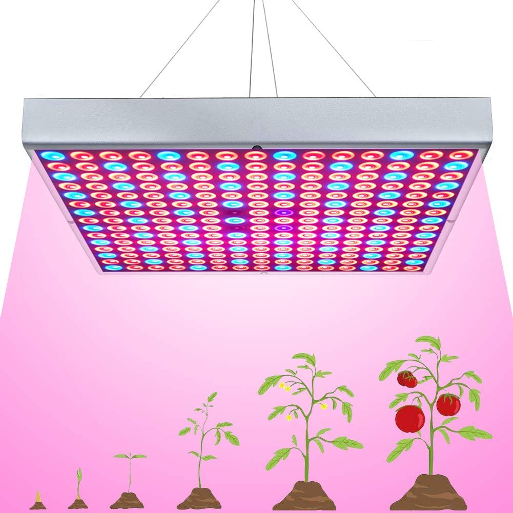 YINTATECH 4000W LED Grow Light, Full Spectrum Growing Lamp for Grow Tent  Indoor Hydroponic Greenhouse Plants Veg and Flower with Daisy Cha＿並行輸入品  通販