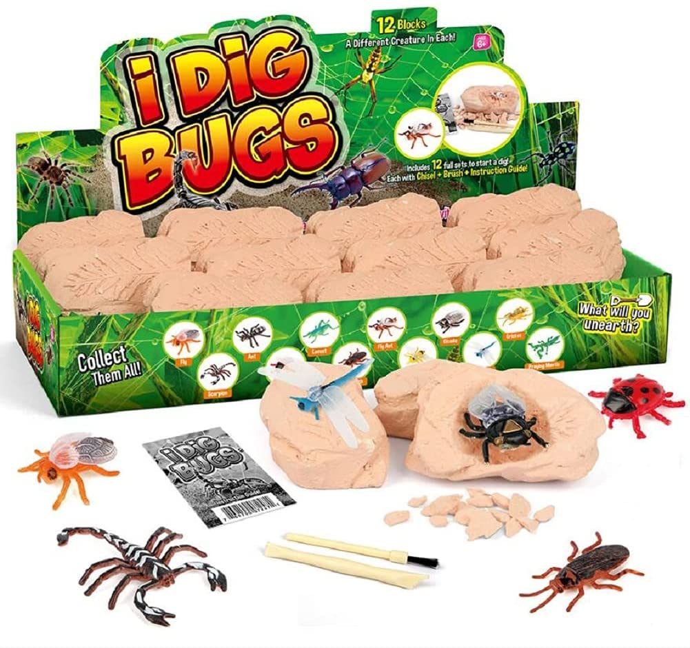 Insect Lore Live Ladybug Growing Kit Toy -unisex-children Original Ladybug  Land