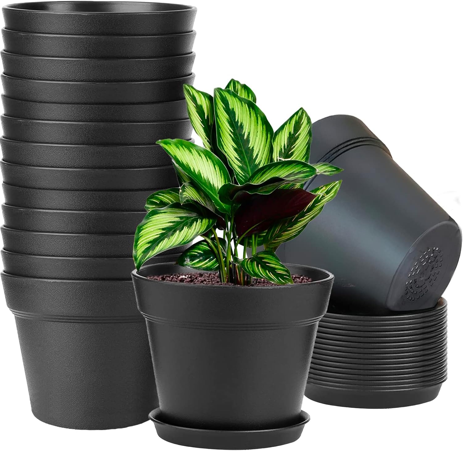 6-Pack 6-Inch Plastic Plant Pots With Saucers | Multicolor Value Set