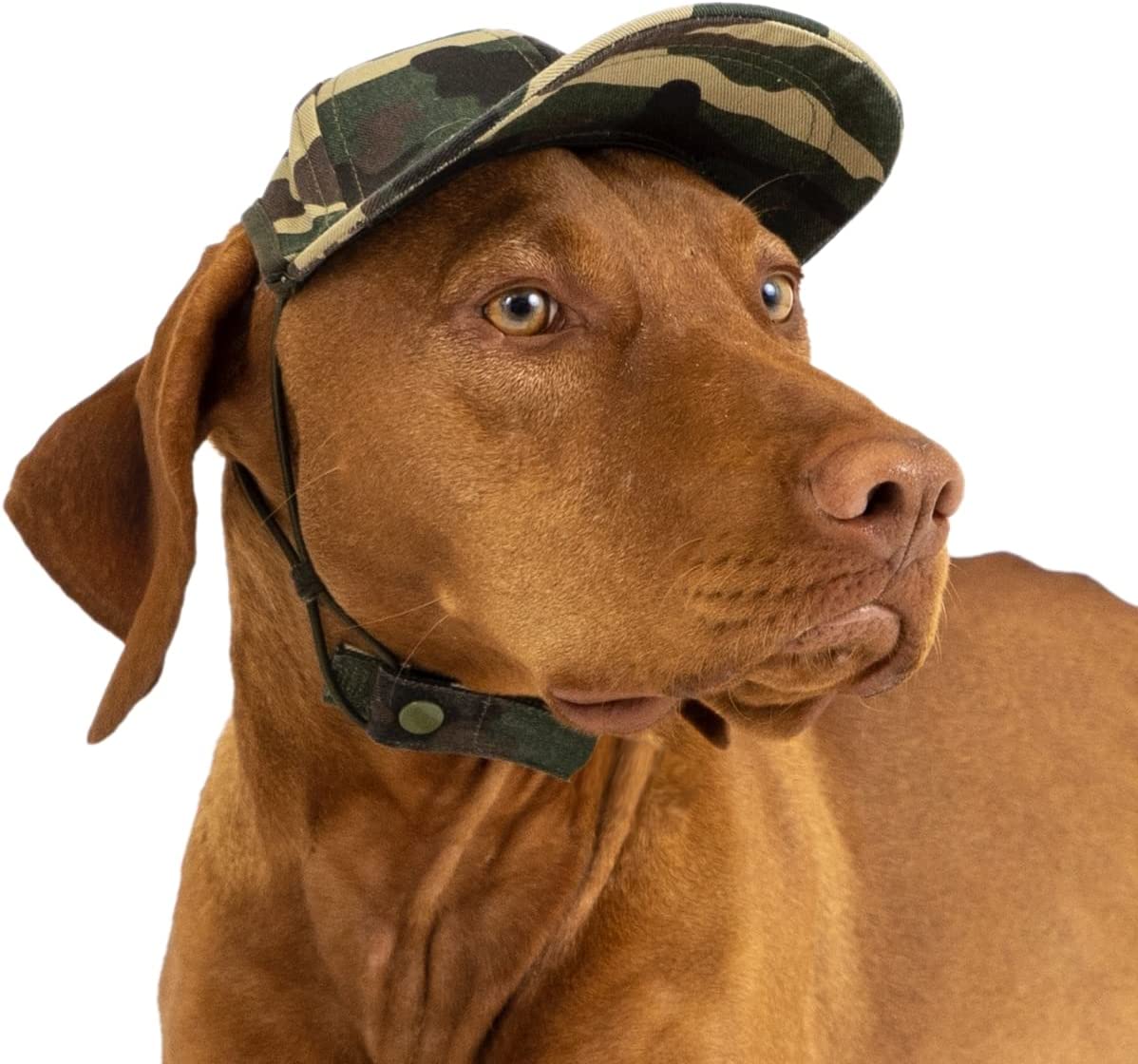 Summer UV Protection Small Dog Baseball Hat – Dogs Tail Circle