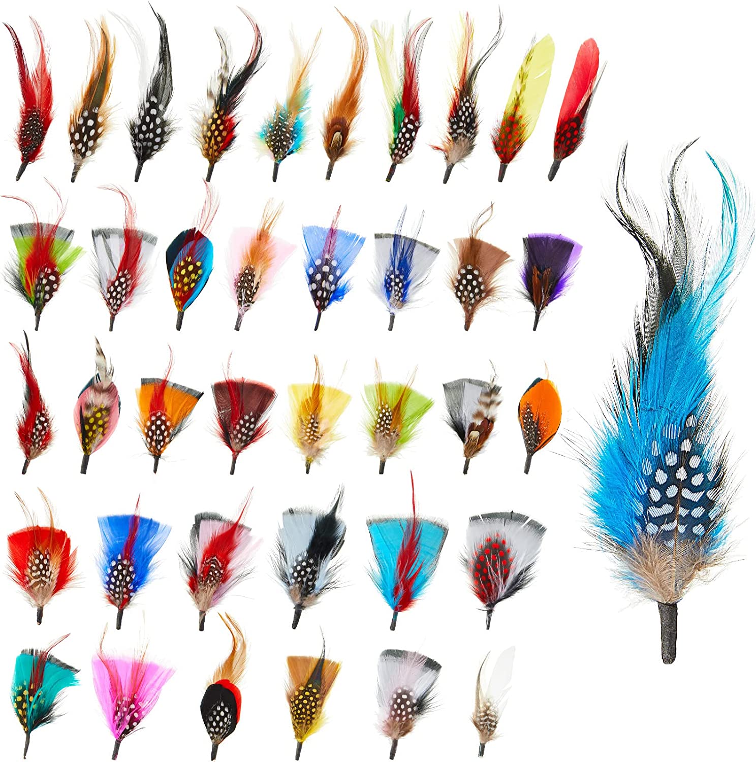  Hat Feathers 10 Pcs, Assorted Natural Feather Packs