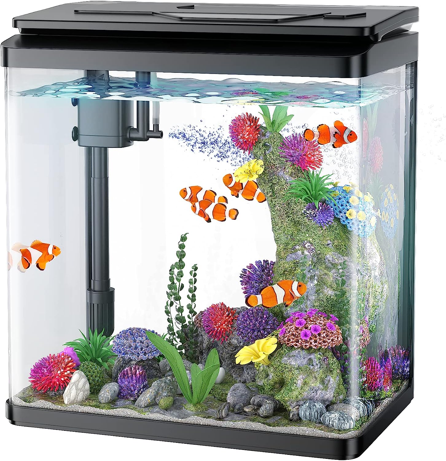 Wholesale PONDON 7.9 Gallon Fish Tank Glass Aquarium Tank with