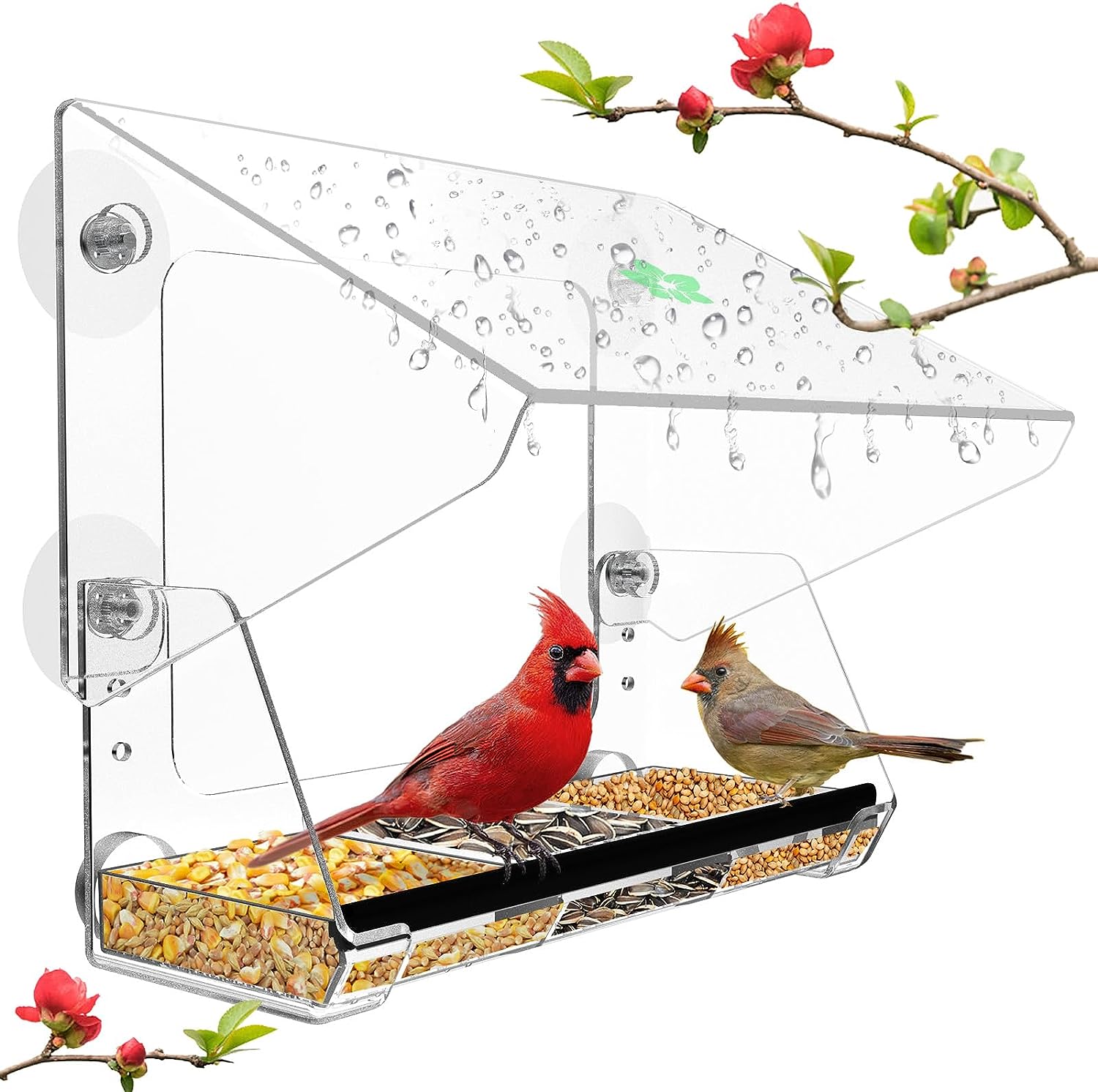 PAWBEE Window Tray Bird Feeder