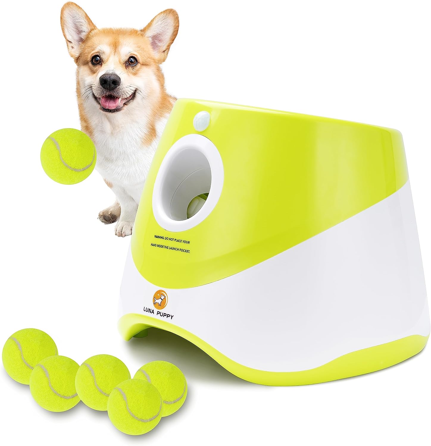 Buy Wholesale China Dog Toys Interactive Ball With Grab Tabs For