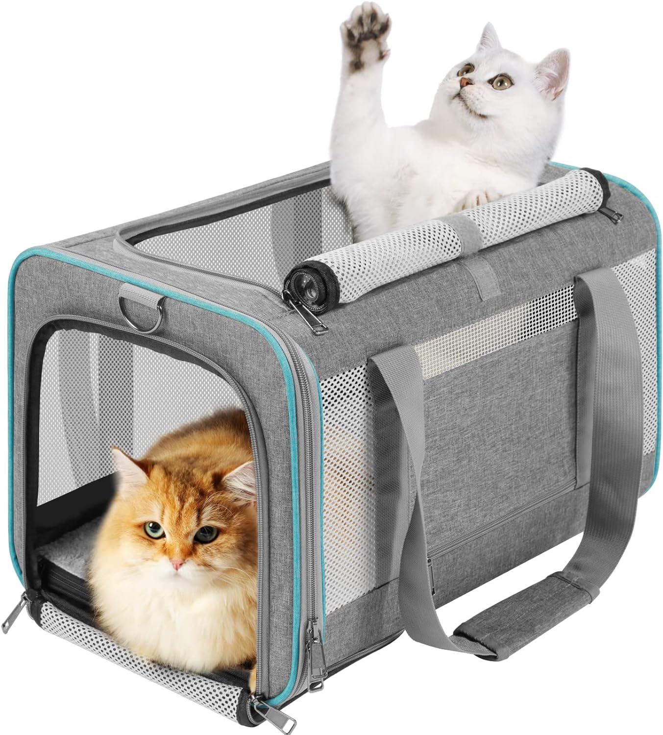 Portable Pet Bag Double Deck Foldable Airline Bag For Two Pets,  Double-compartment Pet Carrier Backpack For Small Cats And Dogs, Cat Travel  Carrier For 2 Cats, Perfect For Traveling/hiking/camping - Temu