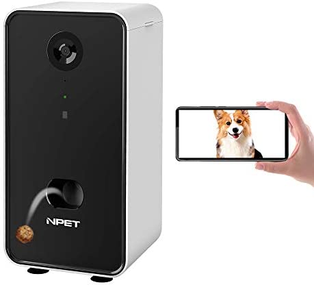 indoor dog camera