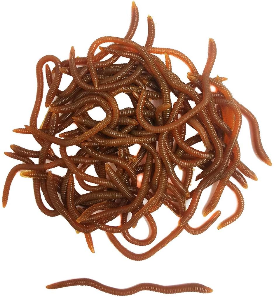 Fishing Plastic Worms WholeSale - Price List, Bulk Buy at