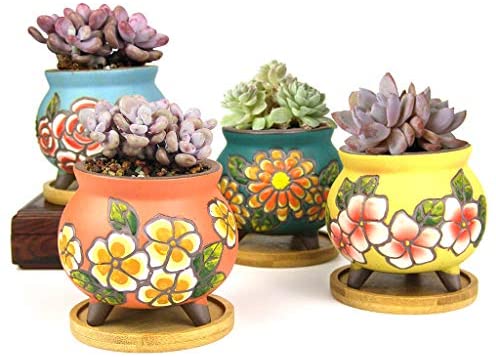 6 PCS Pots Céramiques pour Fleur Succulente Bonsai Pot avec Trou et Bambou Plateau pour Cactus Fleurs Décoration Bureau Maison Hibou Luxspire Pots à Fleurs Succulentes,
