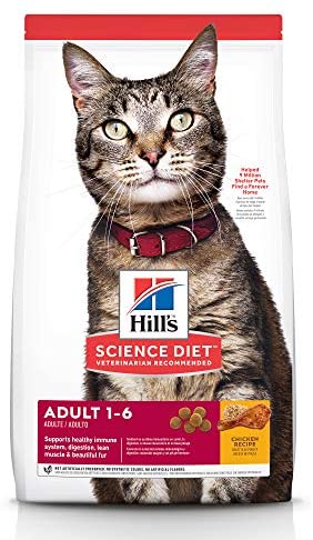 Hills Cat Food WholeSale Price List Bulk Buy at SupplyLeader