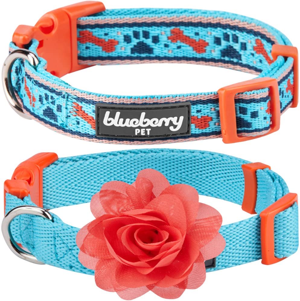 Blueberry pet clearance wholesale