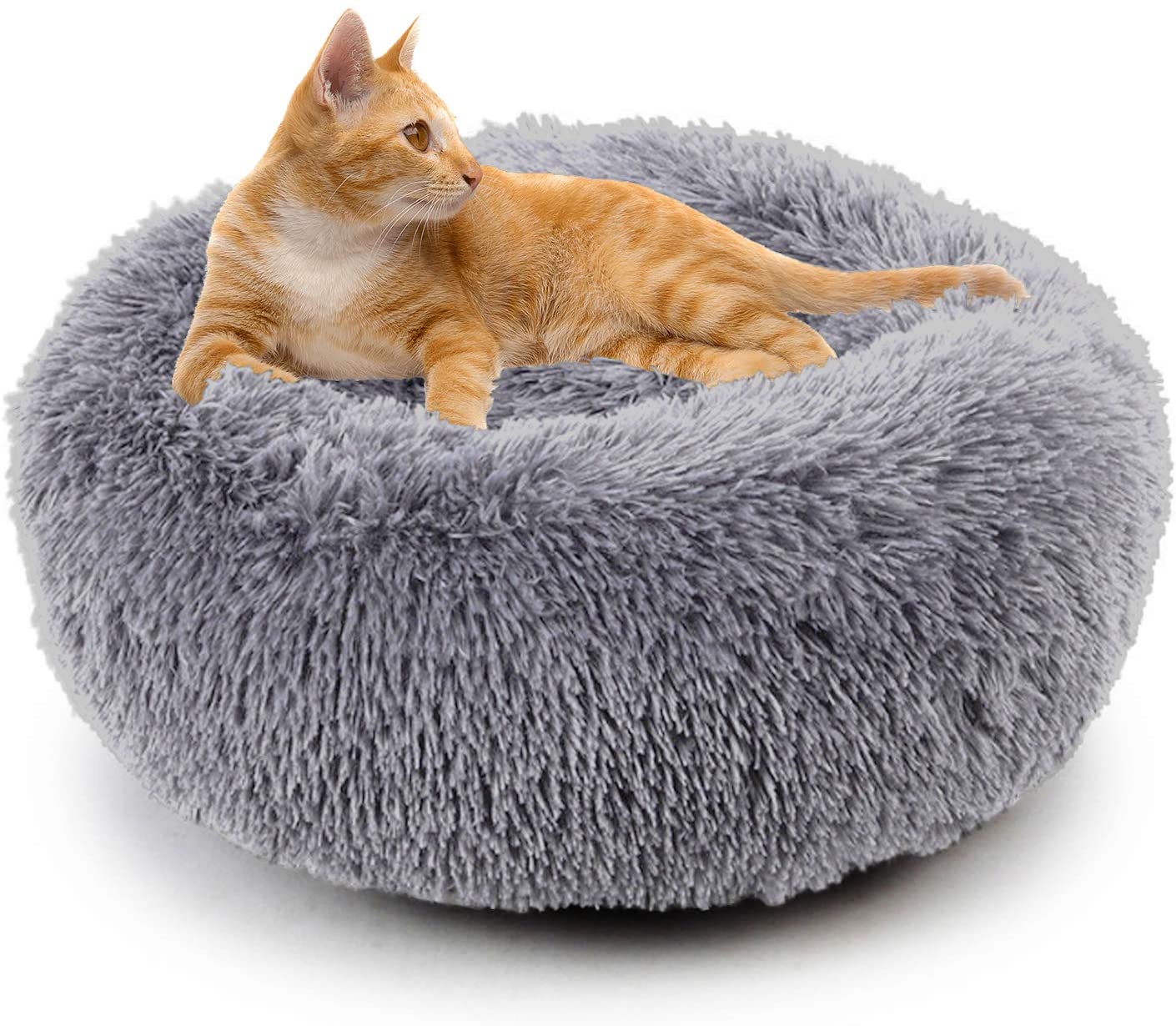 fluffy bed for cats