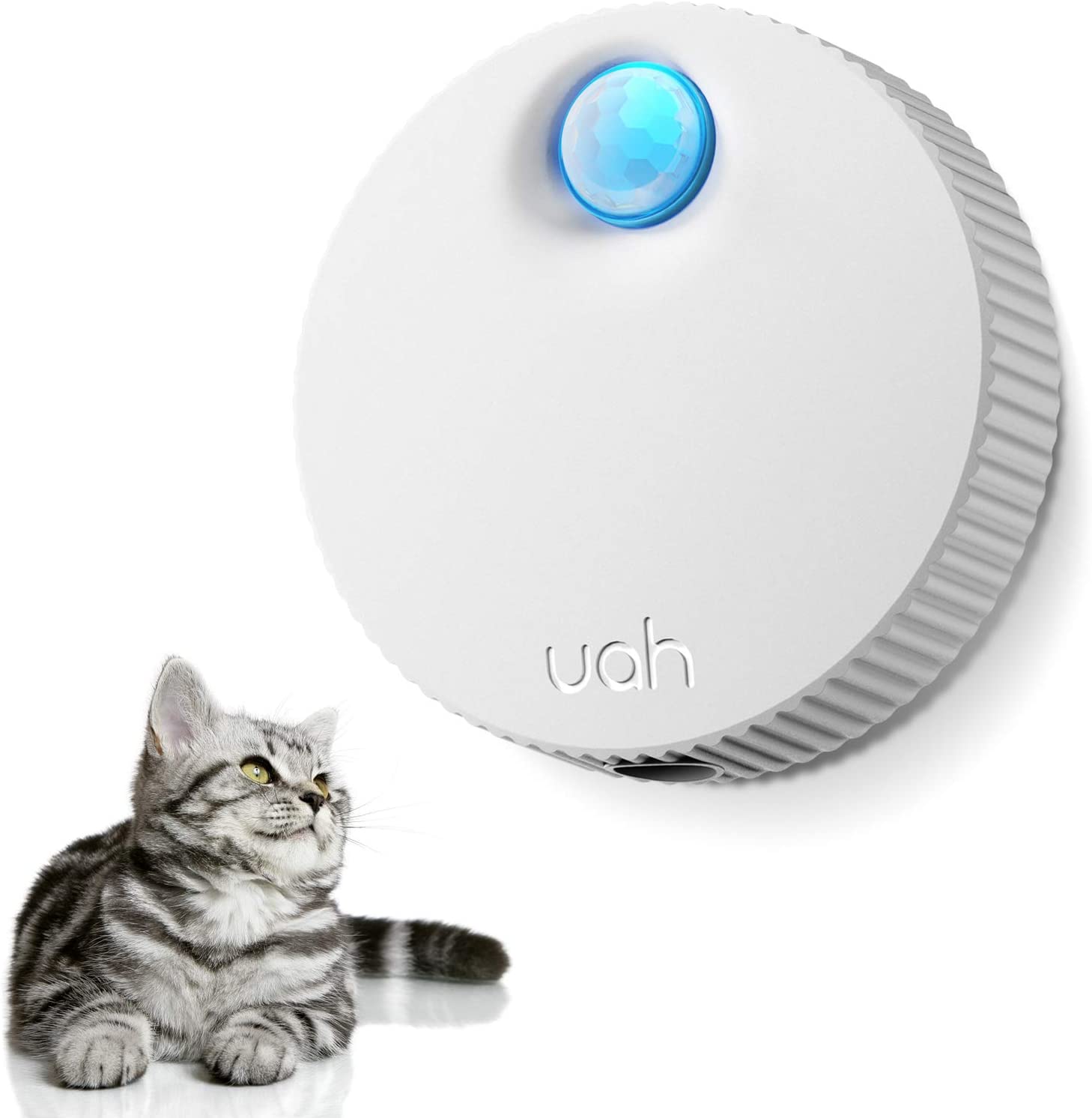 cat box odor solutions