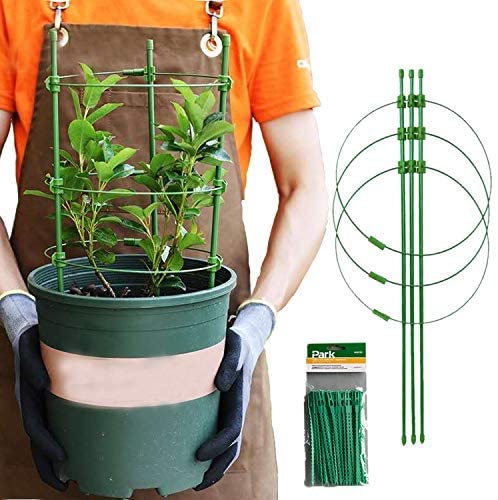 10/15pcs Plant Climbing Support Cage Flowers Tomato Stake Frame with 3 Rings 
