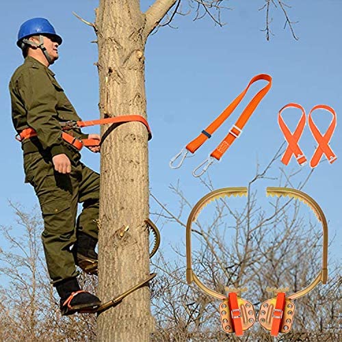 lanyard Tree Climbing Set Pole Spurs Climber Tree and Pole Graff Pro Harness 