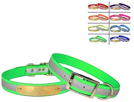 Dayglo dog collars discount wholesale