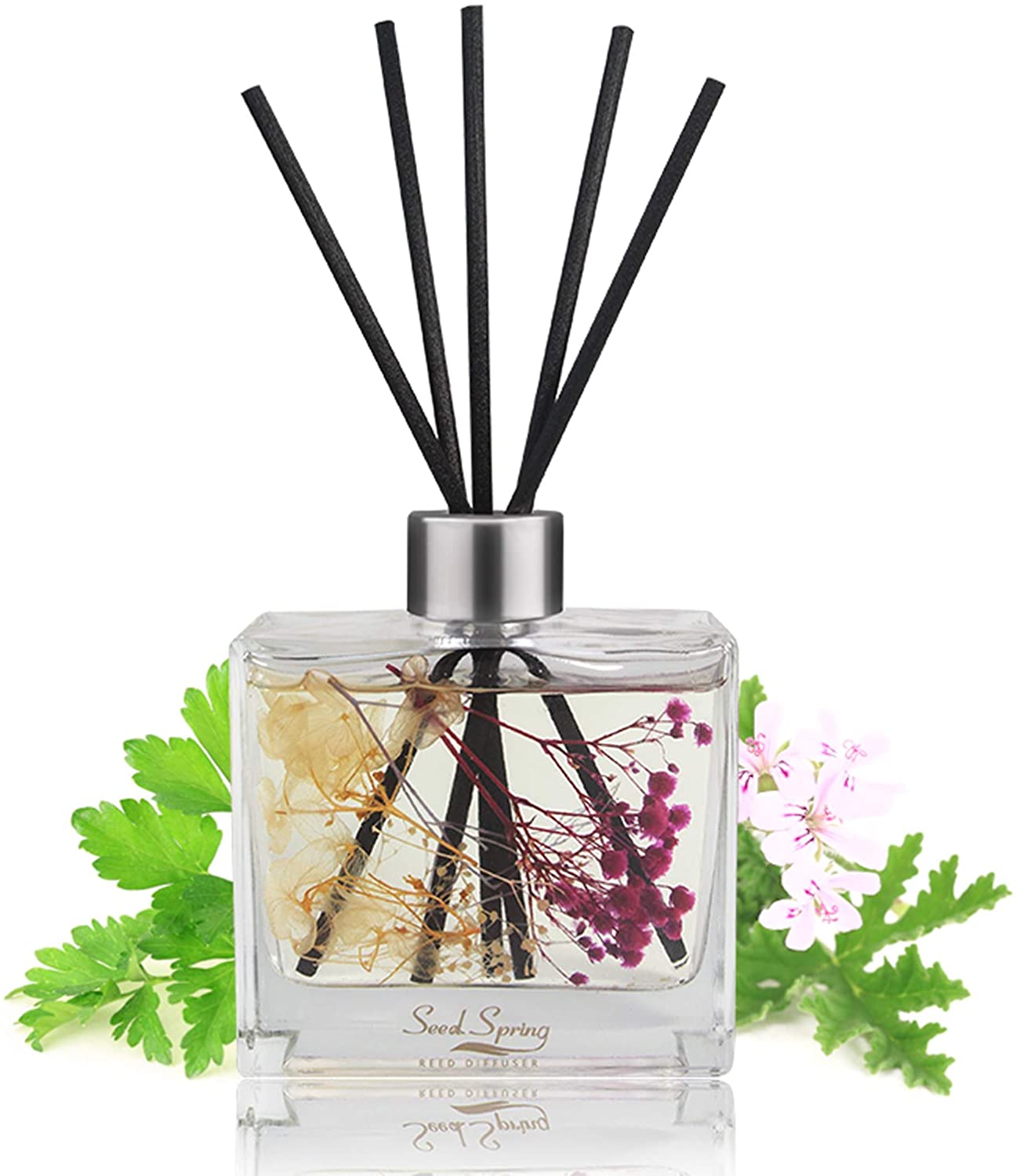 Wholesale Seed Spring Reed Diffuser Set, Bergamot Vanilla Lavender and