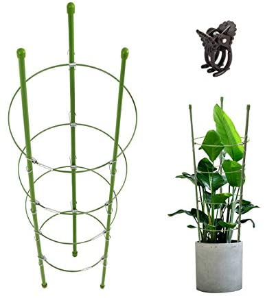 3 Pack Plant Support Cages 3 Adjustable Rings Plants Flowers Vegetables Tomato.. 
