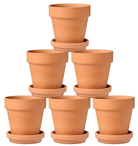 Terracotta Cactus Planter Pots Succulent Indoor Garden Flower Bowl 6pcs Pot Sets 