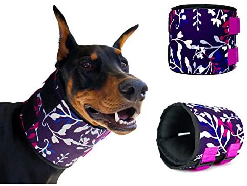 comfortable e collar