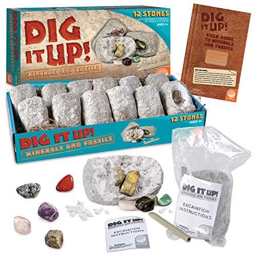 Tedco Toys 90004 Fools Gold Dig Excavation Kit, 1 - Kroger