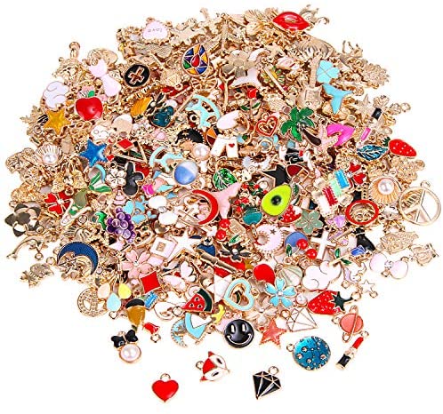 Lv Charms For Bracelets  Natural Resource Department
