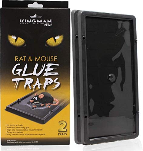 Wholesale KINGMAN PRIME Mouse Trap Rat Trap Glue Trap Board Large Size   42454 