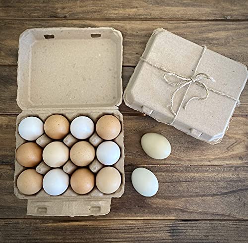  Egg Cartons for Chicken Eggs 25 Pack, 6 Pulp Fiber Egg