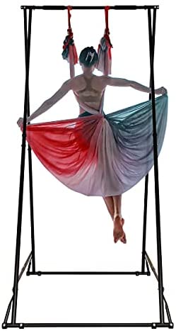 YOGABODY Yoga Trapeze Pro – Yoga Inversion Swing with Free Video Series and  Pose Chart, Purple
