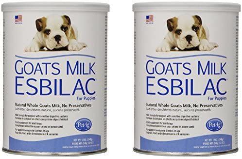 Goats milk 2024 esbilac powder