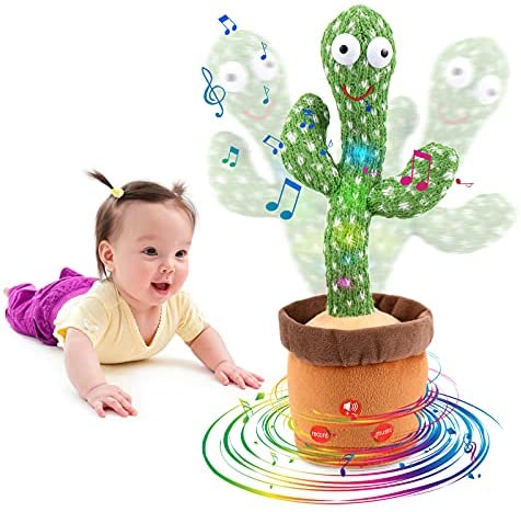 dancing cactus wholesale