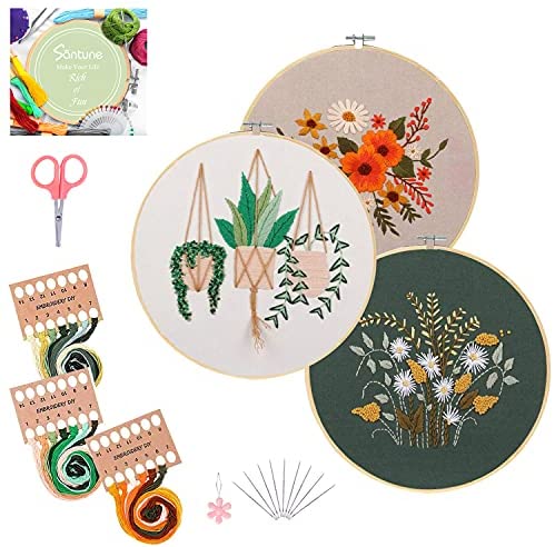  Armindou Embroidery Kit for Beginner Adults, Stamped