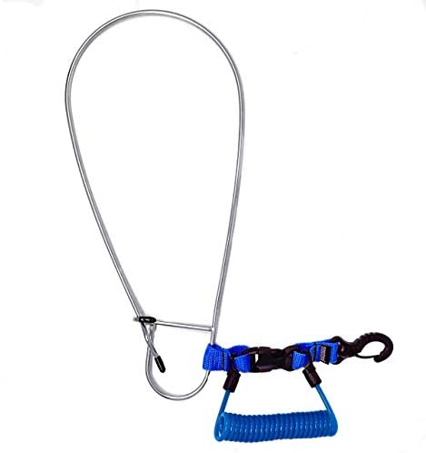 Wholesale Rogue Endeavor Large, Heavy Duty Stainless Steel Game Clip Fish  Stringer System + Stainless Core Coiled Lanyard. Designed for Kayak Fishing  & Spearfishing. All Fish Species (Heavy Duty - Blue) 