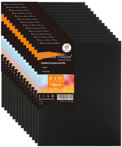  Practica Economy Black Stretched Cotton Canvas - Acid-Free  Acrylic Primed Canvas for Acrylics, Oils, Alkyds, & More! - [2-Pack - 11x14]