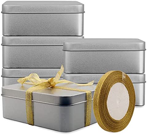 Kurtzy 10 Pack of Small Metal Tin Case Containers with Lids - Empty Cl –  Tinyyo