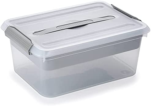 BTSKY Portable Small Storage Box with Flap Lid Clear Plastic Dividing  Storage Container with Removable Inserts Multipurpose Plastic Sewing Box  Craft