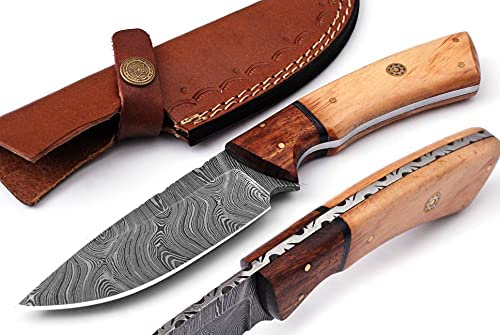 Sports Hunting Knife Workout EL29110, 4 inch MOVA Blade in Satin Finish,  Stainless Steel Ferrule, Total