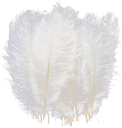 QUEFE 10pcs 6.6ft Colorful Feather Boas for Women Girls Costume Dress Up  Party Bulk Decoration : Clothing, Shoes & Jewelry 