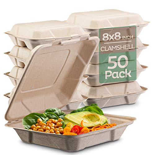 5X5' Microwavable Tray Eco Mineral PP Black Plate Plastic Hinged Take out  Boxes Togo Disposable Clamshell Hinged Container - China Plastic Hinged  Take out Boxes and Disposable Plastic Lunch Box price