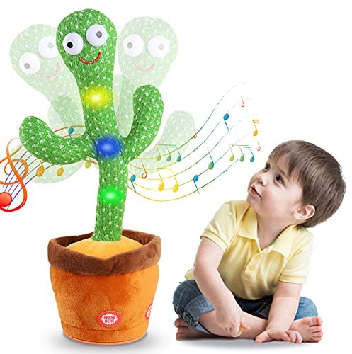 dancing cactus wholesale