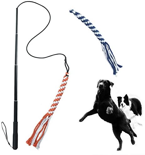 Interactive Dog Toys - Extendable Flirt Pole with 2pcs Braided